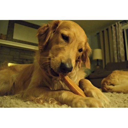  [아마존 핫딜]  [아마존핫딜]EcoKind Pet Treats Himalayan Gold Yak Dog Chews | Grade A Quality, 100% Natural, Healthy & Safe for Dogs, Odorless, Treat for Dogs, Keeps Dogs Busy & Enjoying, Indoors & Outdoor Us