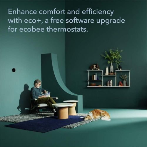  [아마존핫딜][아마존 핫딜] Ecobee ecobee SmartThermostat with Voice Control, Black - - Amazon.com