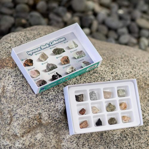  Educational Insights Igneous Rock Collection, Ages 8 and up, Set of 12 Handpicked Specimens in a Storage Tray