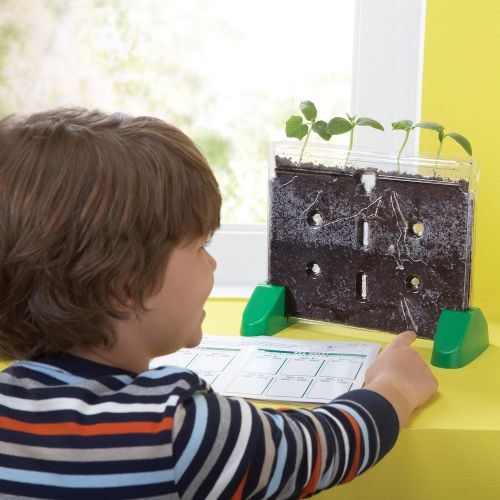  Educational Insights Sprout & Grow Window