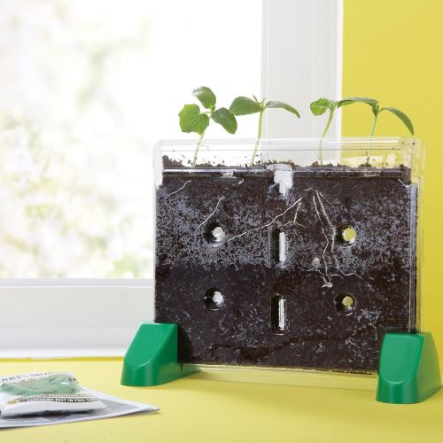  Educational Insights Sprout & Grow Window