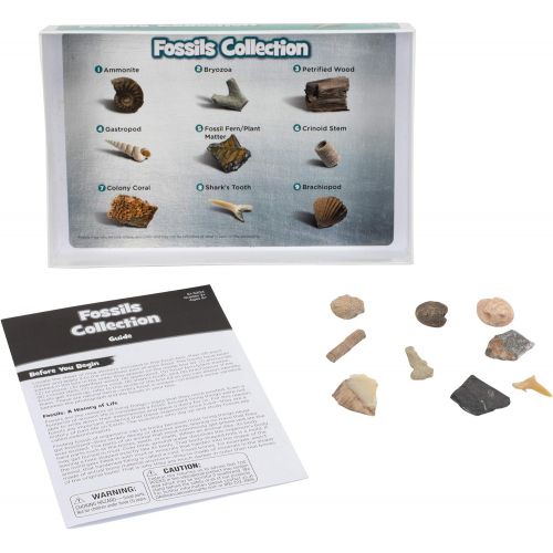  Educational Insights Complete Rock, Mineral, and Fossil Collection, Ages 8 and up, (57 pieces with storage tray)