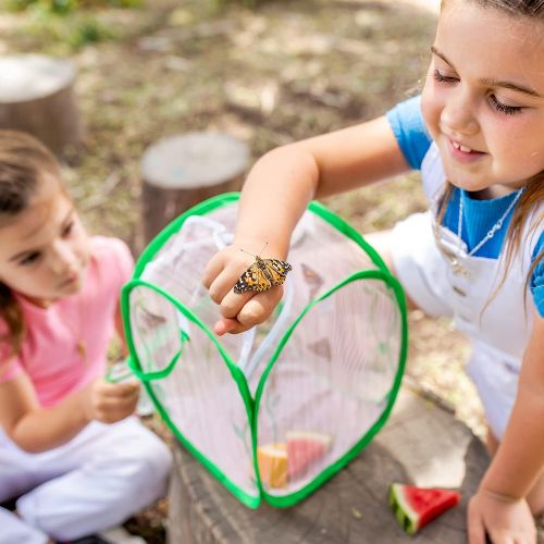  Educational Insights GeoSafari Jr. Butterfly Bungalow, Habitat To Grow Butterflies From Caterpillars, Science Project, Ages 4+