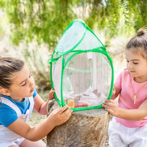  Educational Insights GeoSafari Jr. Butterfly Bungalow, Habitat To Grow Butterflies From Caterpillars, Science Project, Ages 4+