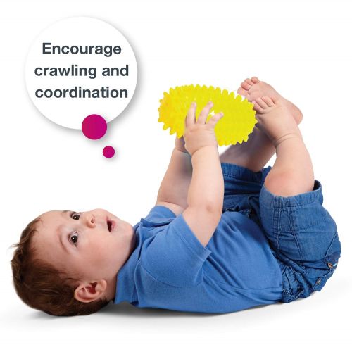  Edushape 9 Piece Sensory Ball