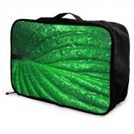 Edward Barnard-bag Plantain Dew Travel Lightweight Waterproof Foldable Storage Carry Luggage Large Capacity Portable Luggage Bag Duffel Bag
