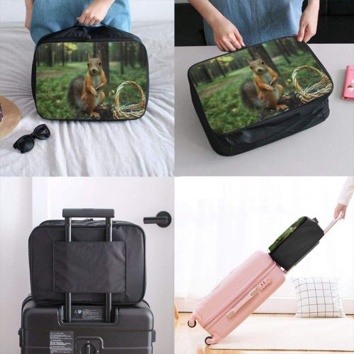  Edward Barnard-bag Cute Squirrel Travel Lightweight Waterproof Foldable Storage Carry Luggage Large Capacity Portable Luggage Bag Duffel Bag