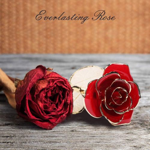  [아마존핫딜][아마존 핫딜] Ejoyous Gold Dipped Roses w/ Rose Holder 24K Golden Rose, Forever Blooming Real Rose Gift for Wife Women on Valentines Anniversary Proposal Birthday, Gold Red with Stand