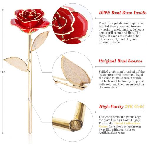  [아마존핫딜][아마존 핫딜] Ejoyous Gold Dipped Roses w/ Rose Holder 24K Golden Rose, Forever Blooming Real Rose Gift for Wife Women on Valentines Anniversary Proposal Birthday, Gold Red with Stand