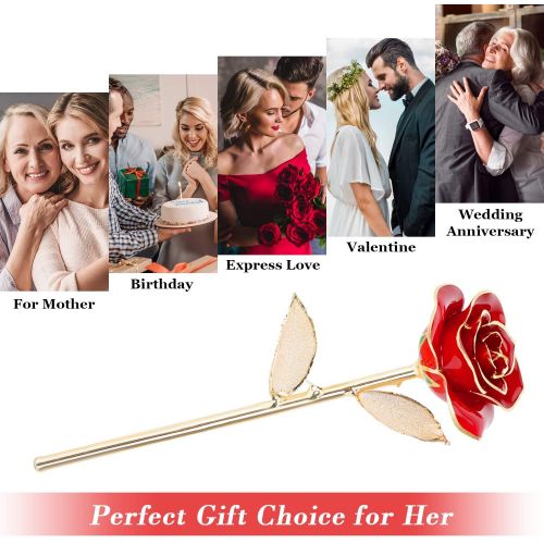  [아마존핫딜][아마존 핫딜] Ejoyous Gold Dipped Roses w/ Rose Holder 24K Golden Rose, Forever Blooming Real Rose Gift for Wife Women on Valentines Anniversary Proposal Birthday, Gold Red with Stand