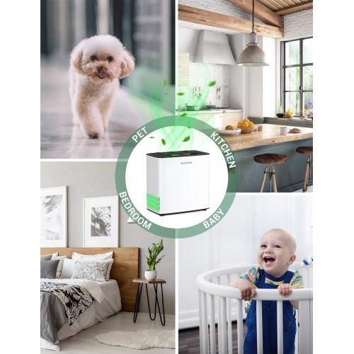  Elechomes P1801 HEPA Air Purifier with 4-Stage Filtration, Auto Mode, Air Quality Sensor , Removes 99.97% Dust Smoke Pet Dander, Portable Air Purifier for Home, Bedroom, Living Roo