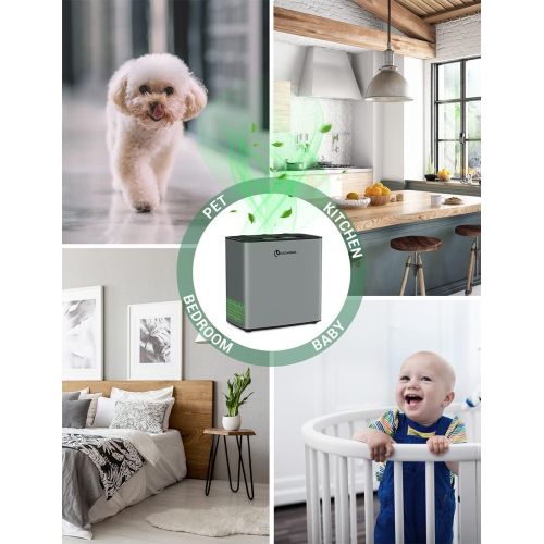  Elechomes Air Purifier 4 in 1 with H13 HEPA & Activated Carbon Filter, Auto Mode & Sleep Mode, Childrens Lock, 22 dB Quiet Air Purifier for Allergy Sufferers, Smokers, Dust, Pollen