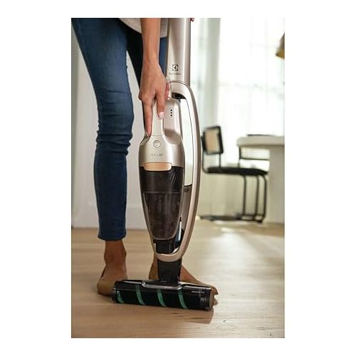 일렉트로룩스 Electrolux WellQ7 Hard Floor Stick Cleaner Lightweight Cordless Vacuum with 5-step filtration system, PowerPro Roller, LED Nozzle Lights and Turbo Battery Power, for Hard Floor surfaces, in Soft Sand