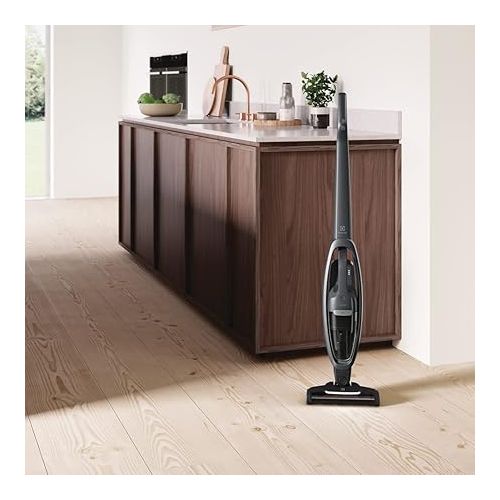 일렉트로룩스 Electrolux WellQ7 Pet Stick Cleaner Lightweight Cordless Vacuum with LED Nozzle Lights, Turbo Battery Power, PetPro+ Nozzle for Removing Pet Hair from Carpets and Hard Floors, in Shale Grey