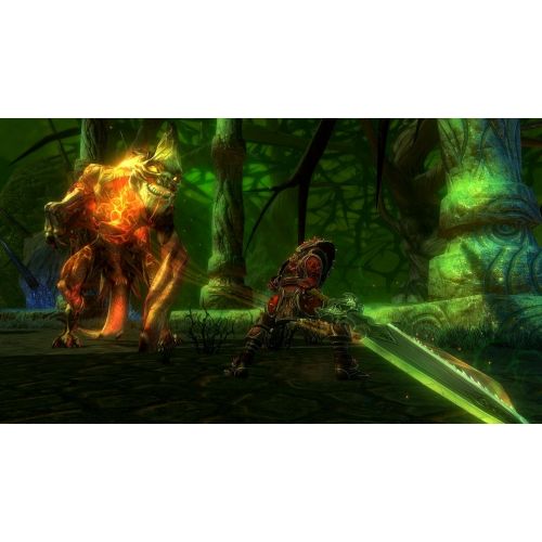  [아마존베스트]Electronic Arts Kingdoms of Amalur: Reckoning - Playstation 3