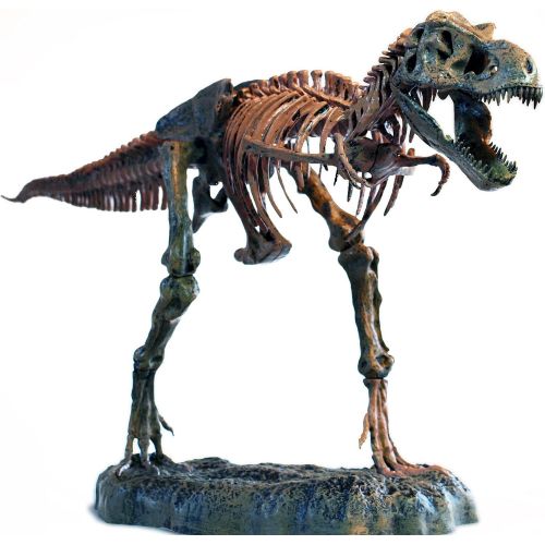  Elenco Edu-Toys T-Rex Skeleton 36 Scale Replica Model | Assemble & Display | Start Your Own Dinosaur Museum | True To Life Skeleton