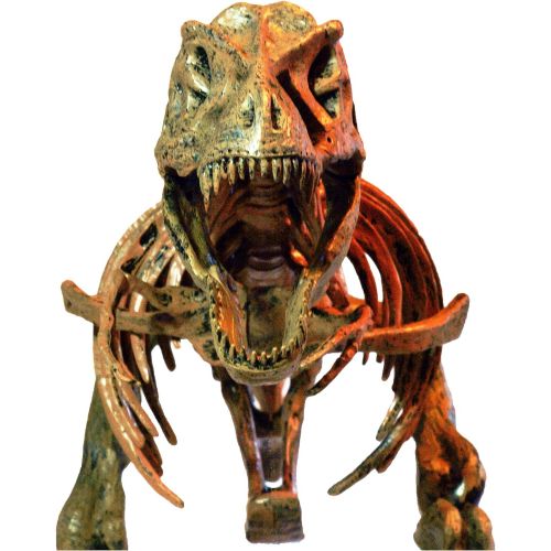  Elenco Edu-Toys T-Rex Skeleton 36 Scale Replica Model | Assemble & Display | Start Your Own Dinosaur Museum | True To Life Skeleton