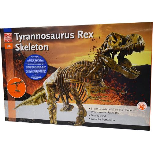  Elenco Edu-Toys T-Rex Skeleton 36 Scale Replica Model | Assemble & Display | Start Your Own Dinosaur Museum | True To Life Skeleton