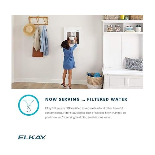  Elkay LBWD06WHK ezH2O Liv Built-in Filtered Water Dispenser, Remote Chiller, Aspen White