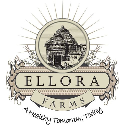  Ellora Farms | Apollo Glass Cruet Set | FREE Steel Caddy | Magnetized self closing Spout, Gravity dispenser | Suitable for Oils, Vinegar, Salad Dressing, Wines, Syrup | Large 17 Oz