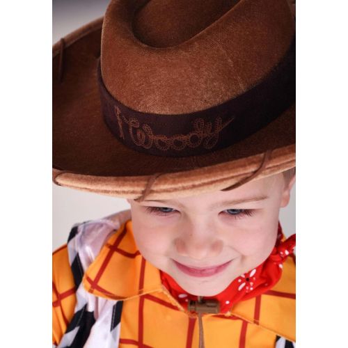  Elope Toy Story Toddler Woody Hat