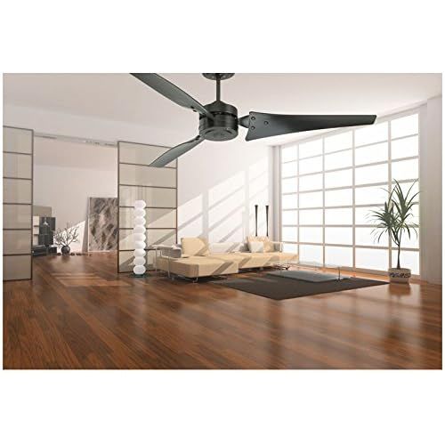  Emerson CF765BQ, Loft Barbeque Black Energy Star 60 Outdoor Ceiling Fan with Wall Control (Includes Mini Desk Fan)