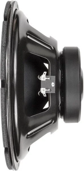  Eminence Legend BP122 12-inch 250-watt Replacement Bass Amp Speaker - 8 ohm