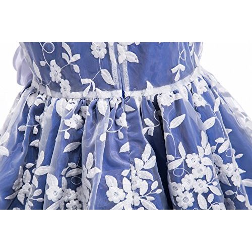  Emma+Riley Emma Riley Girls Sleeveless Floral Embroidered Mesh Pleated A-Line Princess Party Dress