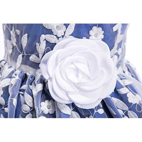  Emma+Riley Emma Riley Girls Sleeveless Floral Embroidered Mesh Pleated A-Line Princess Party Dress