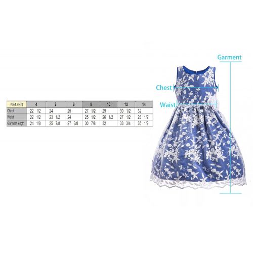  Emma+Riley Emma Riley Girls Sleeveless Floral Embroidered Mesh Pleated A-Line Princess Party Dress