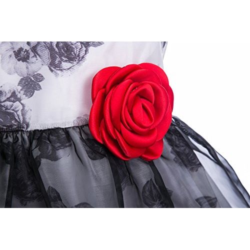  Emma+Riley Emma Riley Girls Sleeveless Printed Floral Tulle Princess Party Dress with Rosette Flower