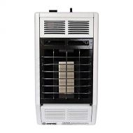 Empire Comfort Systems Empire SR10W Infrared Liquid Propane Vent Free Space Heater 10,000 BTUs