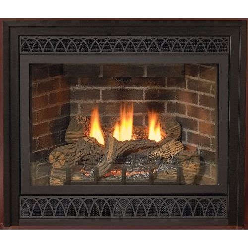  Empire Comfort Systems Deluxe 42 Direct-Vent LP Millivolt Fireplace with Blower