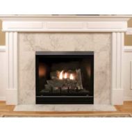 Empire Comfort Systems Tahoe Clean Face Direct Vent IPC Deluxe 32 LP Fireplace