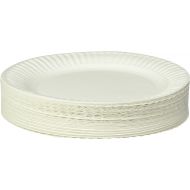Empress Uncoated Paper Plate, 9 Inches, White, Pack of 100 - 1004997