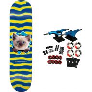 Enjoi Skateboard Complete Kitten Ripper Blue 8.25
