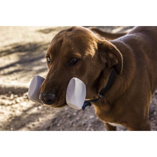  Enrych Dog Training Dumbbell, 4-Inch, White