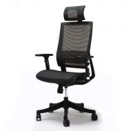 Ergonomic Mesh Office Chair, Ensien - Multidirectional Adjustable Armrest - Various Modes Flexible Back - Height and Angle Adjustment Headrest - Breathable Elastic Cloth - Desk Cha