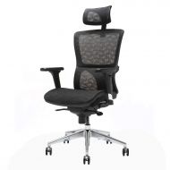 Ergonomic Mesh Office Chair, Ensien - Multidirectional Adjustable Armrest - Various Modes Flexible Back - Height and Angle Adjustment Headrest - Breathable Elastic Cloth - Desk Cha