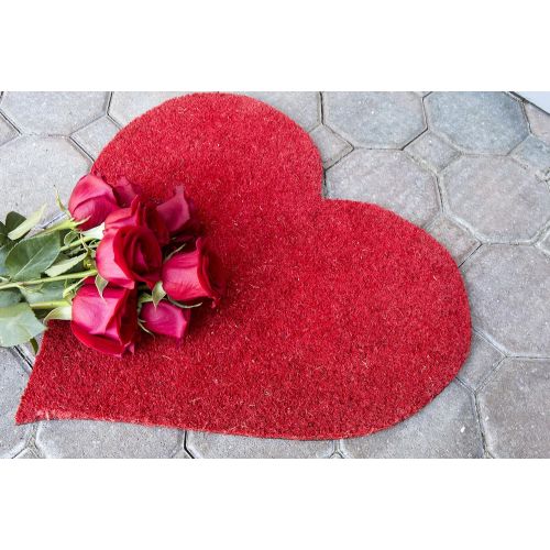  Entryways I Heart You, Coir with PVC Backing Doormat 17 X 28 X .5