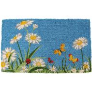 Entryways One Summer Day, Handmade, Hand-Stenciled, All-Natural Coconut Fiber Coir Doormat 18 X 30 x .75