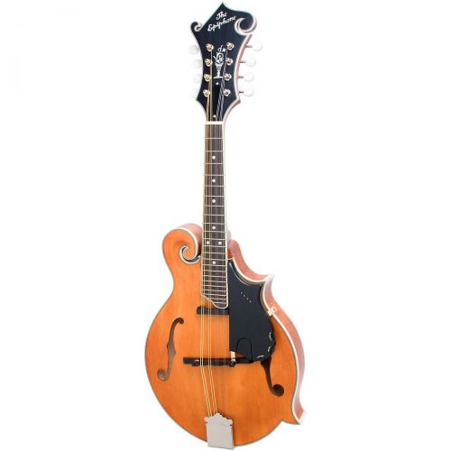  Epiphone},description:Many products claim to be revolutionary but, more often than not, that claim falls short of expectations. This isnt the case with the Epiphone MM-50E professi