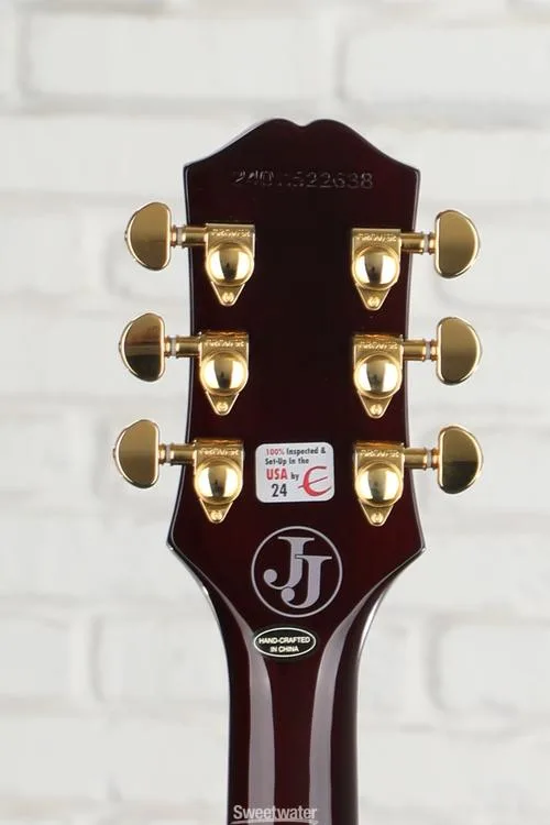  Epiphone Jerry Cantrell 