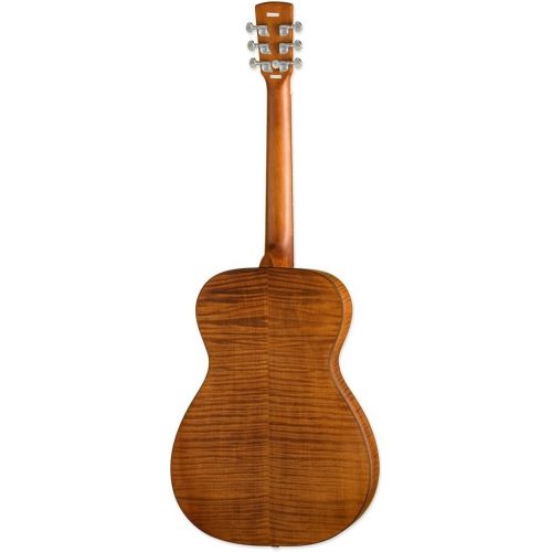  [아마존베스트]Epiphone DWHOUNDLX Dobro Hound Dog Deluxe Round Neck Acoustic Electric Guitar