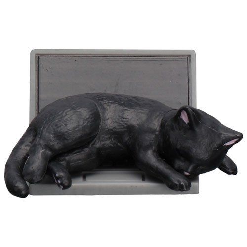  Epoch Disturb cat black single item