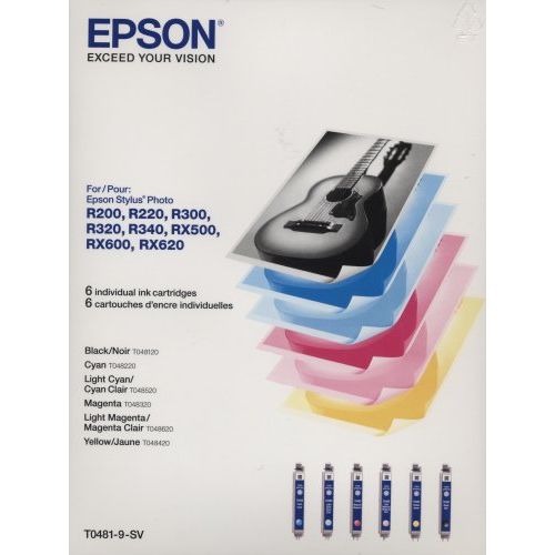 엡손 Epson 6 Pack Ink Cartridges (Big Value) for Stylus Photo Printers: R200, R220, R300, R320, R340, RX500, RX600, RX620