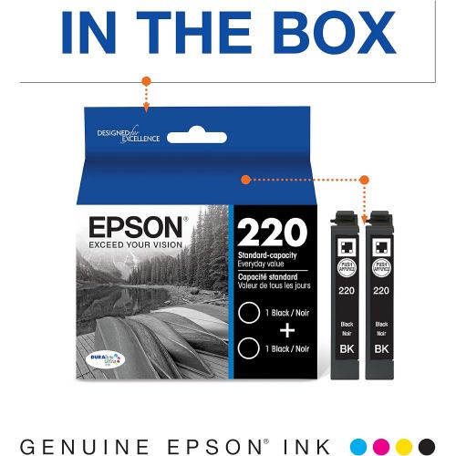 엡손 Epson DURABrite Ultra Black Dual Pack Standard Capacity Cartridge Ink for Select Epson Printer (T220120-D2)