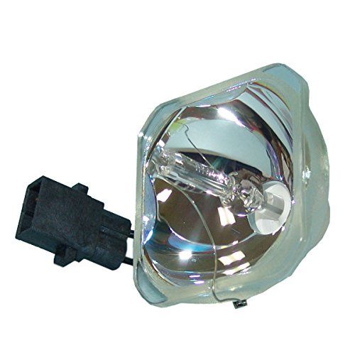 엡손 G-lamps ELPLP58 / V13H010L58 Replacement Lamp with Housing for EPSON EX3200 EX5200 EX7200 PowerLite 1220 1260 S9 X9 S10+ VS200 EB-S10 EB-S9 EB-S92 EB-W10 EB-W9 EB-X10 EB-X9 EB-X92