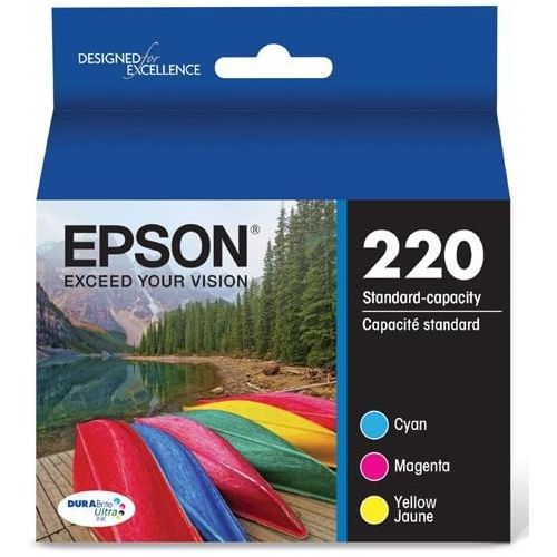 엡손 2 X Epson DURABrite Ultra Standard-Capacity Ink Cartridge, Color Multipack (T220520)