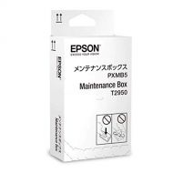 Epson Ink Maintenance Box for Workforce WF-100